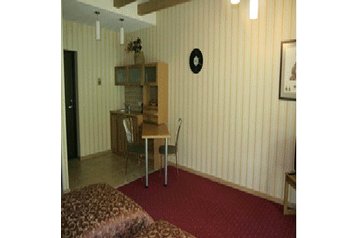 Litva Privát Kaunas, Eksterijer